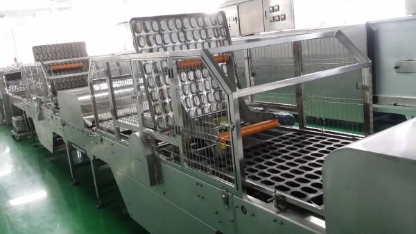 Quality Multiple Sensors Continuous Motion 380V Tray Cleaning Machine for sale