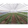 Buy cheap Small High Tunnel Film Greenhouse For Growing Tomatoes 6m-10m Width from wholesalers