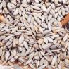 Buy cheap Handpicked Delicious Raw Sunflower Kernels Low Calorie 100% Green Foods from wholesalers