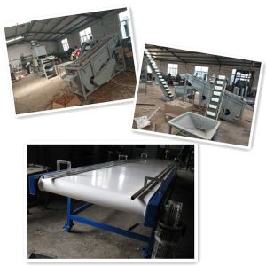 Buy cheap walnut processing machines, walnut cracker, walnut shelling machine from wholesalers
