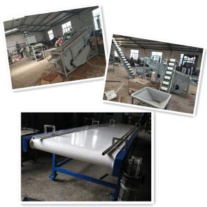 China walnut processing machines, walnut cracker, walnut shelling machine on sale