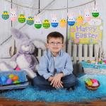 12pcs Colorful Egg Shaped EN71 Felt Easter Decorations