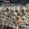 Buy cheap Plastic Film and Shade Net Mushroom Farm Greenhouses Hot Galvanized Steel Structure from wholesalers