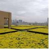 Buy cheap Square Shape Hdpe Plant Tray Roof Terrace Garden Pot Planter for Outdoor Propagator Kits from wholesalers