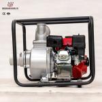 Air Cooled Portable Agriculture Water Pumps For farm Irrigation