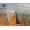 Buy cheap Agricultural Tomato 12m Single Tunnel Greenhouse from wholesalers