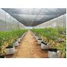 Buy cheap 9x30 Tropical Green House Sawtooth Top Ventilation High Tunnel Greenhouse from wholesalers