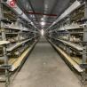 Buy cheap 30000 Birds Hot Dip Galvanized Steel H Type Battery Cages For Broiler Chicken from wholesalers