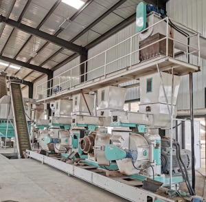 Wholesale 5-6t/h Complete Wood Pellet Production Line Sawdust SGS Certification from china suppliers