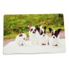 Buy cheap BFM-001 Custom Designed Cartoon Dog Rubber Non Slip Bath Floor Mat from wholesalers