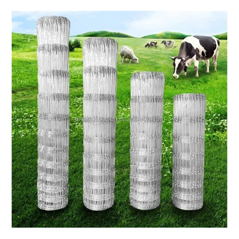 1''x 1'' 1''x1/2'' after Welded Wire Mesh Fence Roll for Animal Cage Bending Service