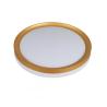 Buy cheap Color Changing Ceiling Light 3000K-4000K-6500K For Living Room from wholesalers