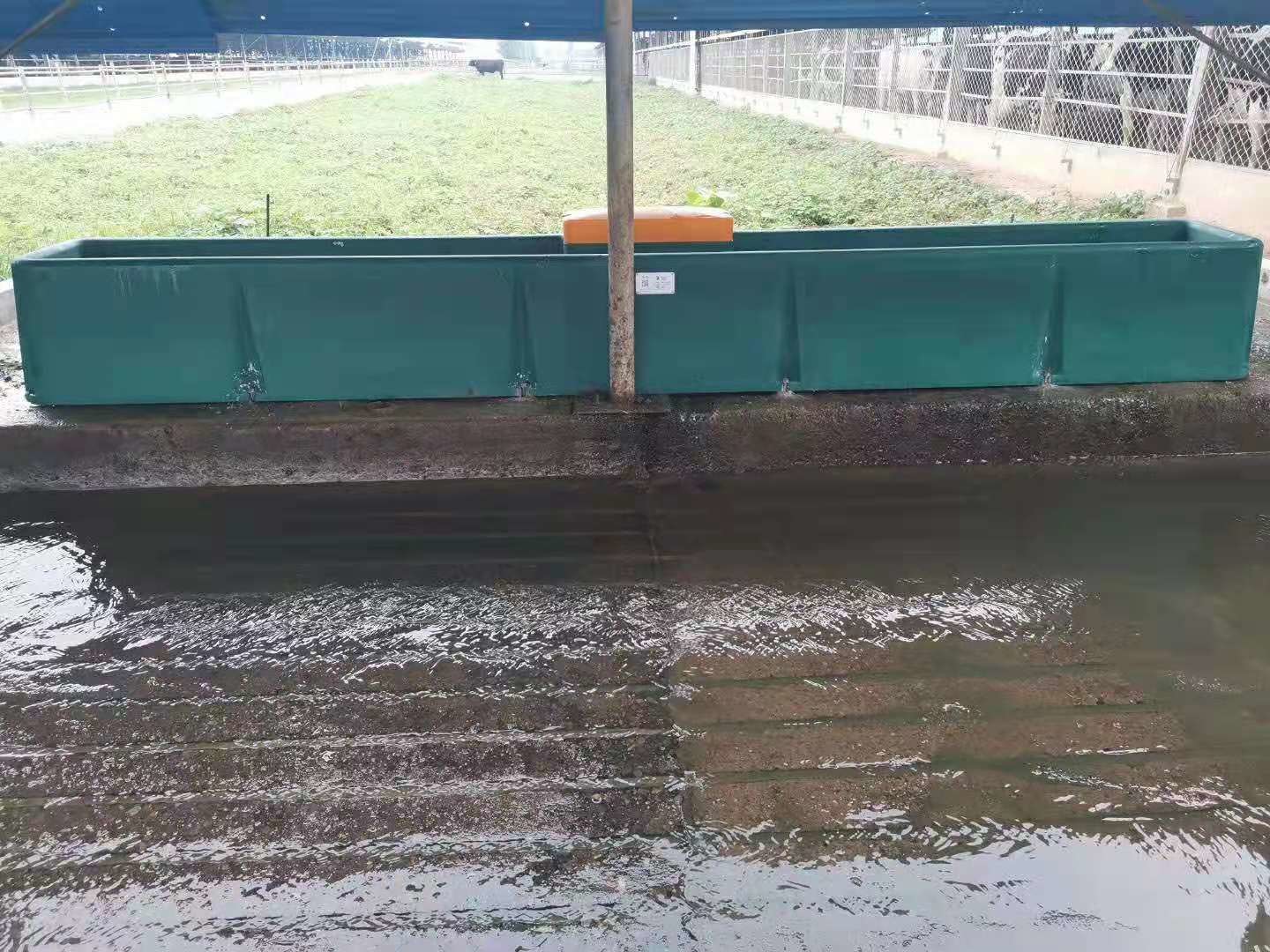 Antifrost 2.8m Sheep Water Trough