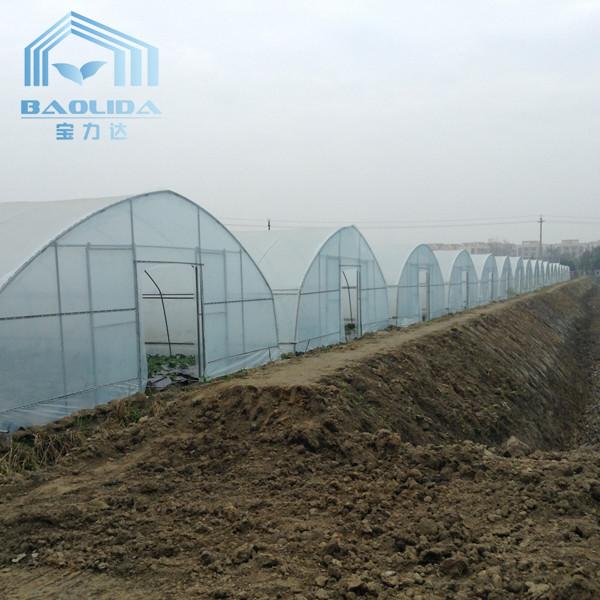 Buy cheap High Tunnel Steel Frame Galvanized Pipe Greenhouse For Plant Growing from wholesalers