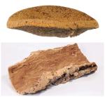 Multipurpose Cork Raw Material Natural Oak Bark Eco 16x22cm