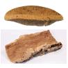 Buy cheap Multipurpose Cork Raw Material Natural Oak Bark Eco 16x22cm from wholesalers