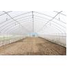 Buy cheap Stable Structure Polyethylene Film Greenhouse / Vegetable Tomato Plant Greenhouse from wholesalers