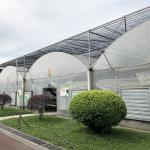 Industrial Plastic PE Film Multi-span Agricultural Flower House Poly Tunnel
