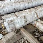 ASTM Grade 630 Turbine Blade Steel 17-4ph ESR Round Bar UNS S17400 AMS 5622