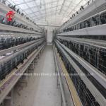 2.8mm-3.5mm Cage Wire Diameter Poultry Farming Cage System for High Rearing