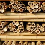 Dried Treated Gardening Bamboo Sticks Poles Canes Stakes 16cm For Construction