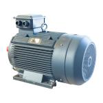 AC Low Voltage Squirrel Cage Induction Motor Three Phase 400v