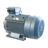 Buy cheap YE3 160KW Electric Motor Squirrel Cage Electric Motor High Efficiency IP55 from wholesalers