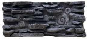 Buy cheap Fossil Landscape Lizard Tank Background Thermal Insulation With Natural Look from wholesalers