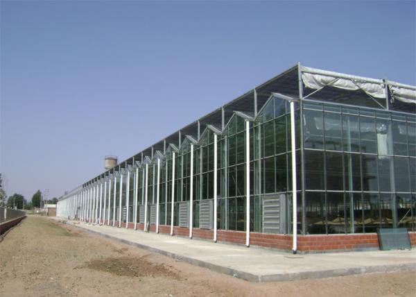 Buy cheap Agricultural Arched PC Sheet Greenhouse For Planter High Roof Drainage Efficiency from wholesalers