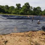 EPDM/EVA Fish Pond Liner 1mm 1.5mm for Waterproof Geomembrane in Industrial