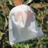 Buy cheap Pp Non Woven Anti Insect 35gsm Fruit Protection Net Bags from wholesalers