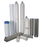 10"/20/30 Inch FH Stainless Steel Sanitary Filter Housing And Cartridge