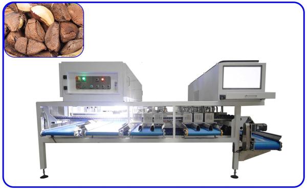 Buy cheap AI Brazil Nuts Sorting Machine Stainless Steel 12 Channel Electric Drive from wholesalers