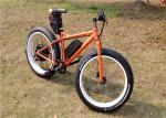 High Speed 1000W Fat Tire Beach Bikes / Custom Mountain Bike With Super Fat