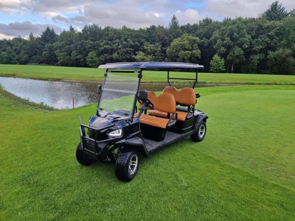 Buy cheap 4 Seat Golf Cart With 48V Battery System Fast Charging Capability Powerful AC Motor from wholesalers