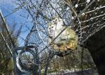 Oem Odm Stainless Steel Ferrule Rope Mesh In Animal Enclosure And Bird Cages