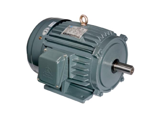 Buy cheap Electric Iec Standard Motor Cast Iron Iec 60947 4 Class 10 Iec 61800 9 2 from wholesalers