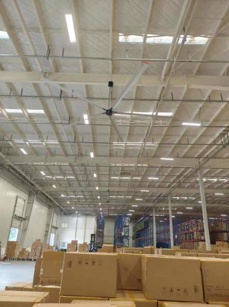8-24FT Low Noise Hvls Cooling Fan Industrial Warehouse Ceiling Fans Good
