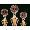 Buy cheap Sportsman Awarding Plastic Award Cups Trophies , Gold Plated Sports Cup Trophy from wholesalers