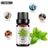 Buy cheap Massage OEM Essential Oil New ODM Basil Essential Oil Diffuser Cosmetics from wholesalers