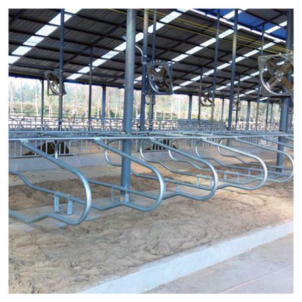 Buy cheap Single Side Ergonomic bending Cow Farming Equipment Cattle Free Stalls from wholesalers