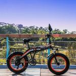Rich Bit Top 016 20 Inch Fat Tire Electric Bike 500w 48v 9.6Ah 20x4 Chaoyang