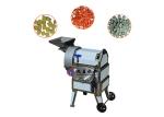 Commercial Fruit Processing Equipment / Kiwi Pear Apple Plantain Banana Chips