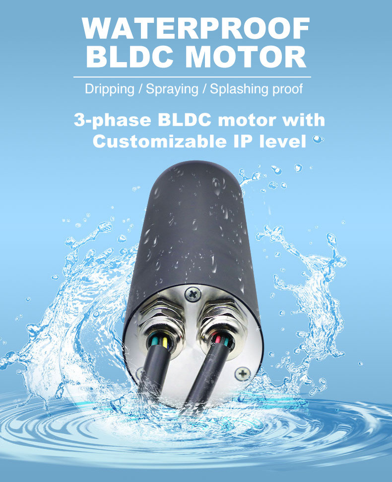 42BLY Series 0.6N.M IP65 Waterproof Brushless Dc Gear Motor 0.5A 24v 370rpm
