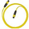 Buy cheap MPO MTP Fiber Optic Patchcord from wholesalers