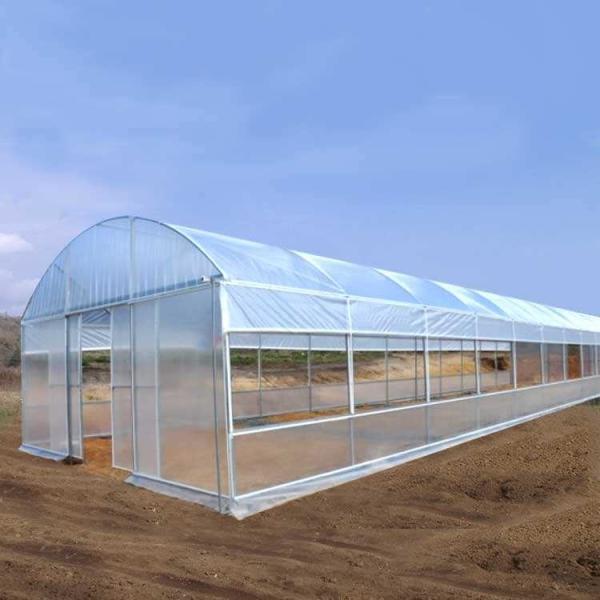 Buy cheap Wind Resistant Plastic PE Film Commercial Poly Tunnel Greenhouse For Planting Fruit from wholesalers