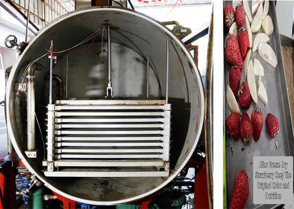 Buy cheap 300Kg Remote Control Industrial Dry Freezer Machine from wholesalers