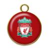Buy cheap Custom Printing Services 3D Lenticular Keyring For Promotion from wholesalers