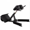 Buy cheap Befreeman Hot Selling Gym Fitness Exeserces 45 Degree Back Extension Machine Roman Chair for Sale from wholesalers