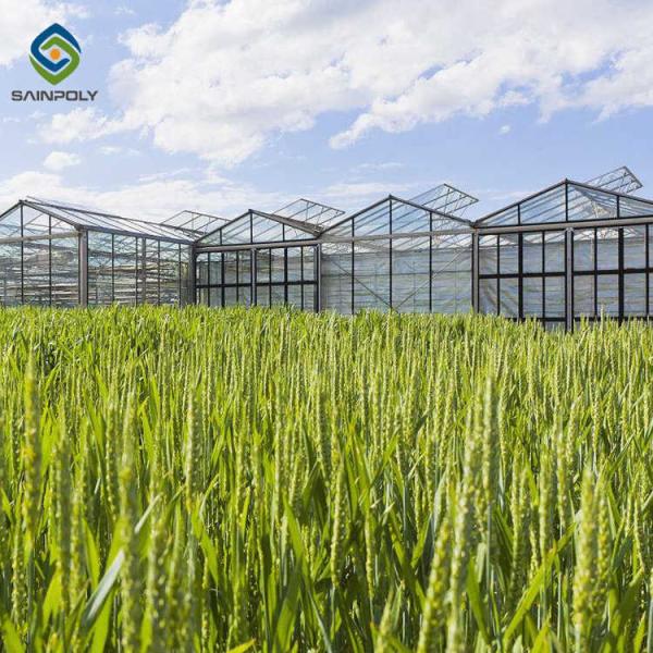 Buy cheap Exhibition Multi Span Greenhouse , Glass Green Houses Hanging Load 0.15KN/M2 from wholesalers